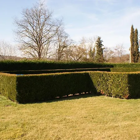 Molin De Felice Arezzo